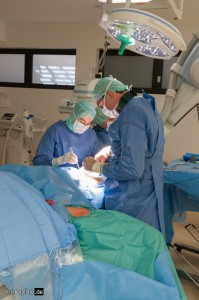 Freilegen der Leistenarterie durch Chefarzt Dr. Beyer und Oberärtzin Dr. Weber