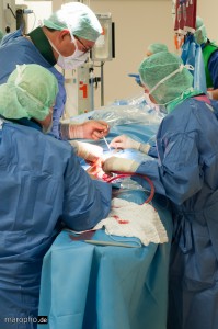 Freilegen der Leistenarterie durch die Gefäßchirurgie